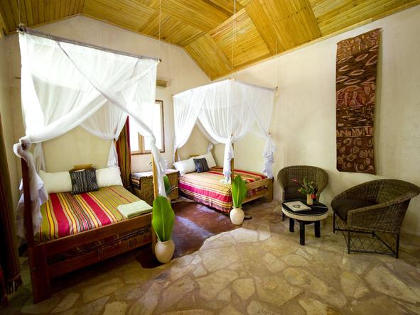 Primate Lodge - Bedroom2